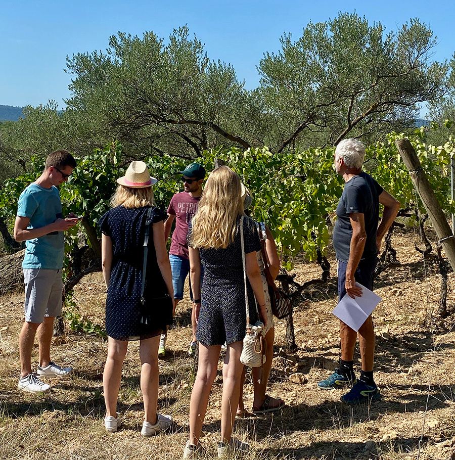 Huile d'olive et truffes
